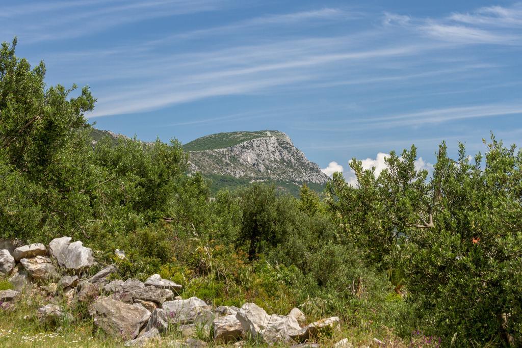 Panorama Holidays Kaštel Stari Eksteriør billede